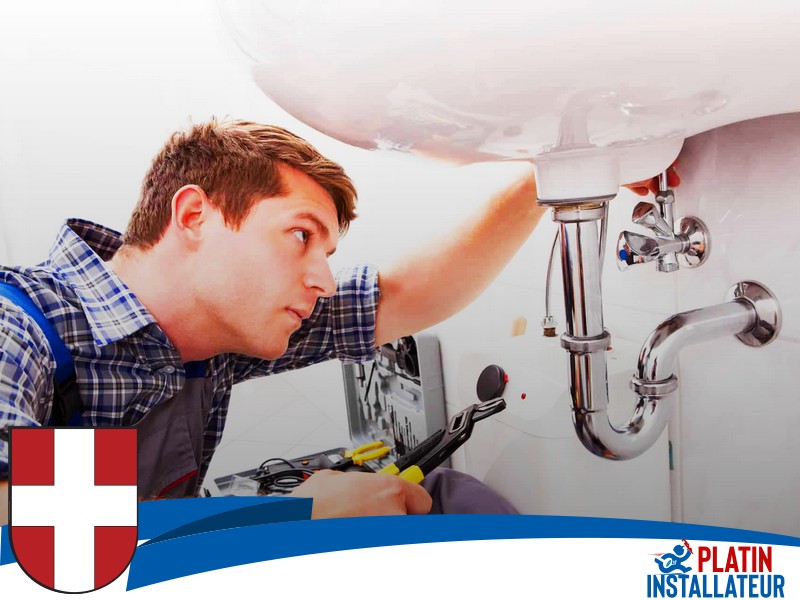 Abflussprobleme 1010 Wien - Innere Stadt