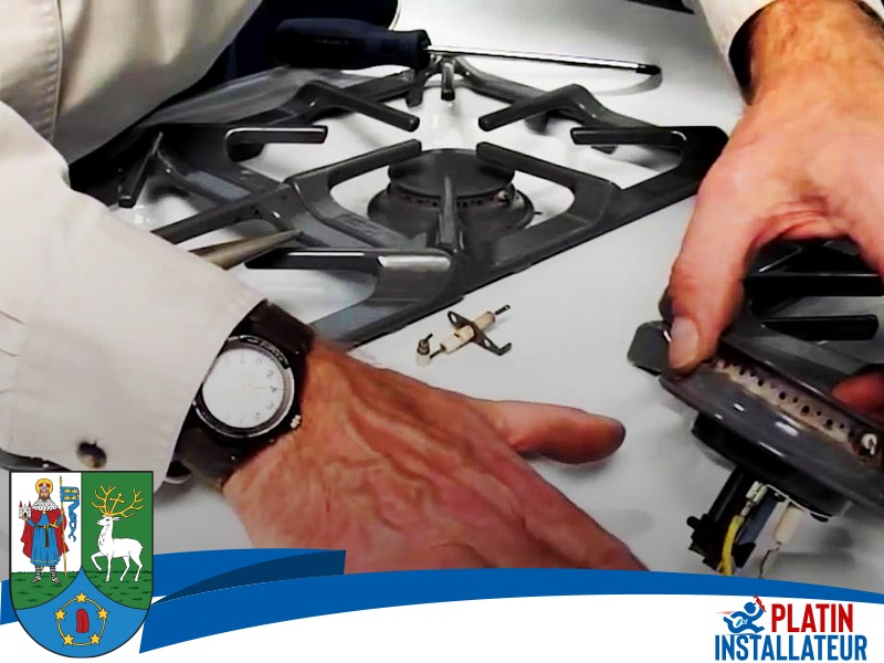 Gasgeruch Wohnung 1020 Wien - Leopoldstadt