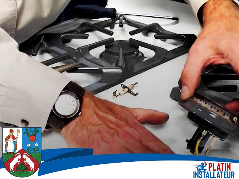 Gasgeruch Wohnung 1030 Wien - Landstraße