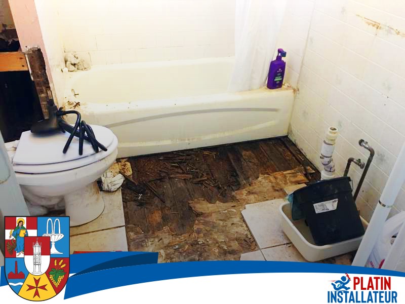 Toilette montieren 1100 Wien - Favoriten