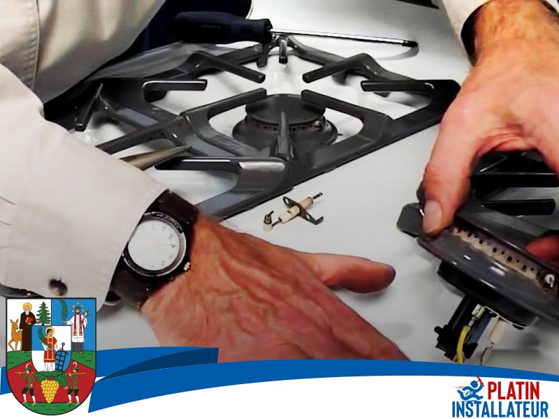 Gasgeruch Wohnung 1180 Wien - Währing