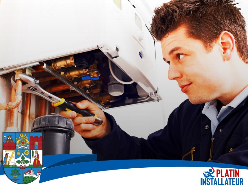 Gastherme wechseln 1230 Wien - Liesing