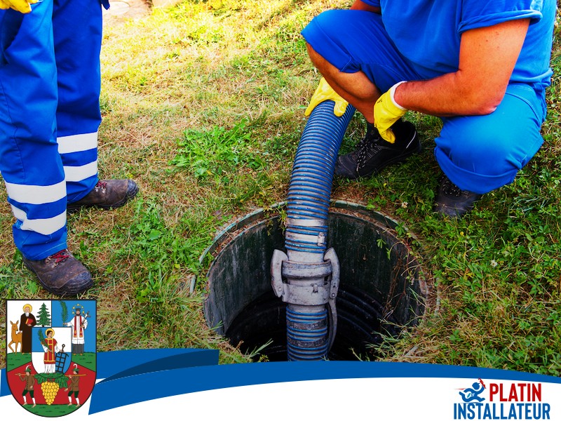 Rohrverstopfung Baumwurzel 1180 Wien - Währing