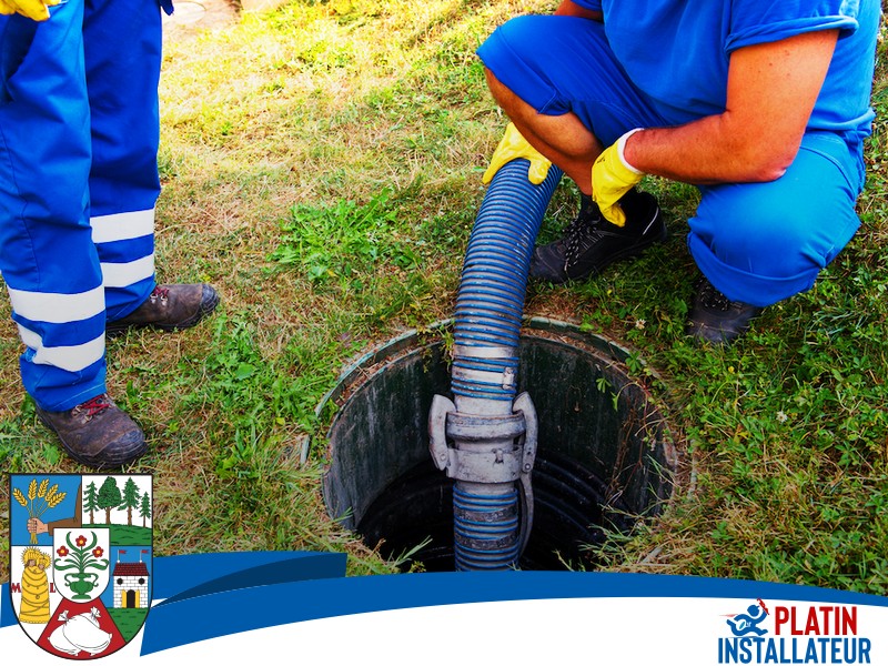 Rohrverstopfung Baumwurzel 1210 Wien - Floridsdorf