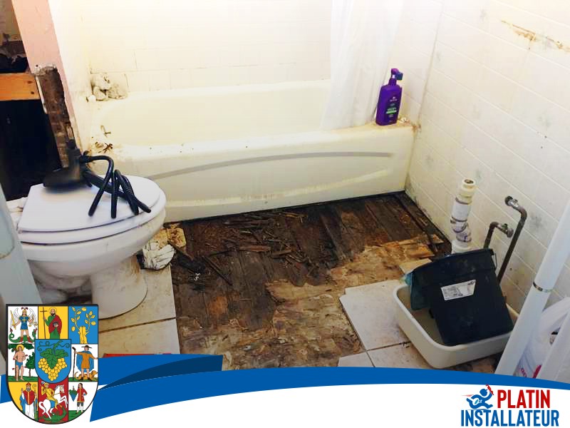 Toilette montieren 1190 Wien - Döbling